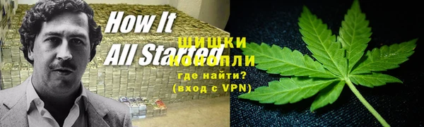 крисы Алексеевка