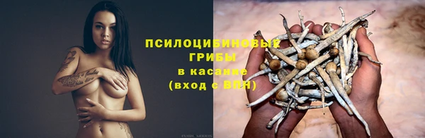 тгк Алексин