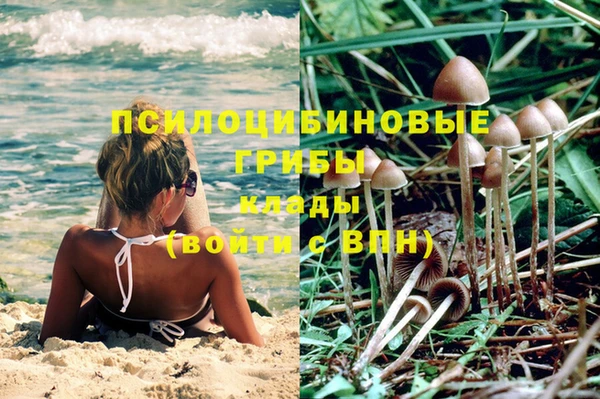 крисы Алексеевка