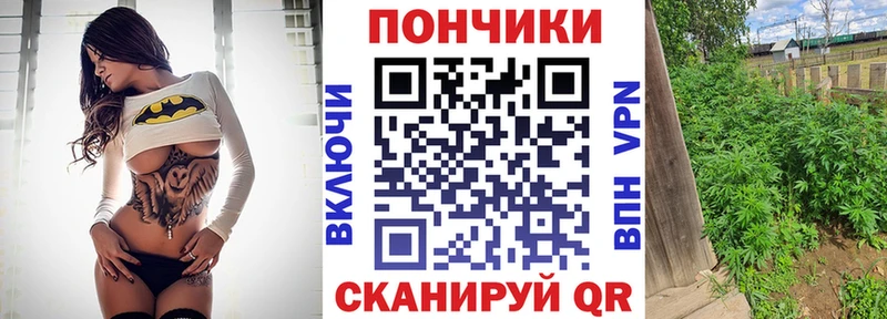 закладка Зуевка Конопля THC 21%